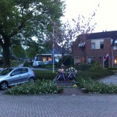 foto19